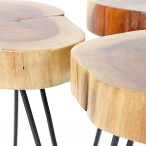 Bijzettafel Stam - Set van 2