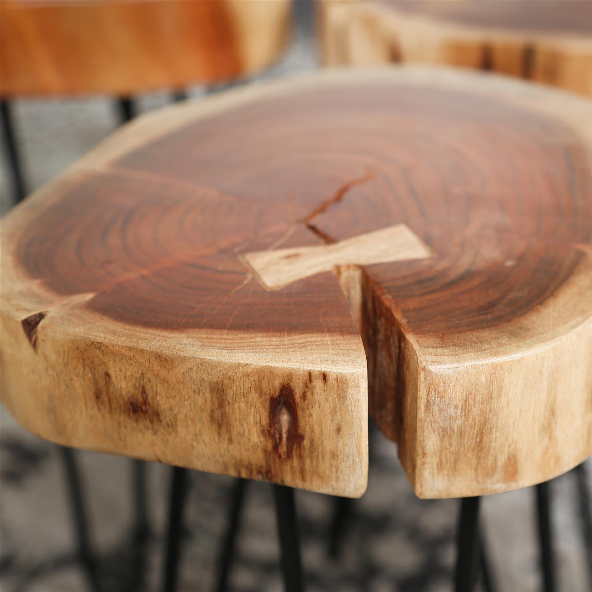 Bijzettafel Stam - Set van 2