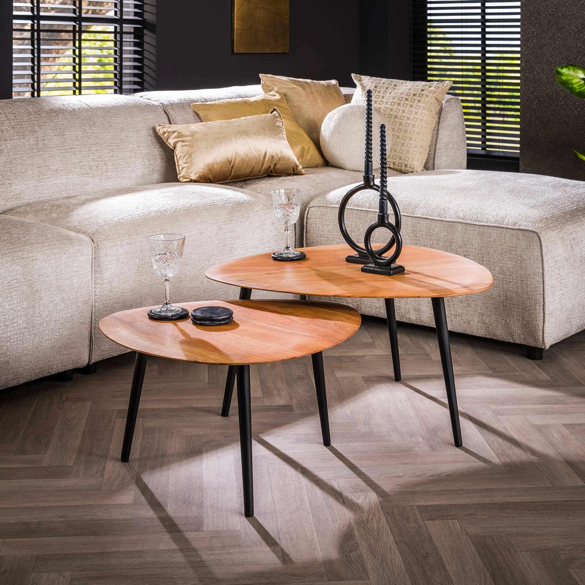 Salontafel set - 2 stuks