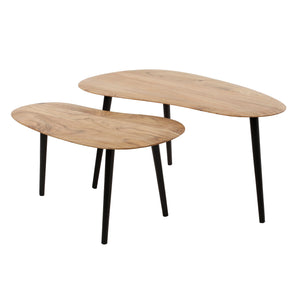 Salontafel Set Niervormig - 2 stuks