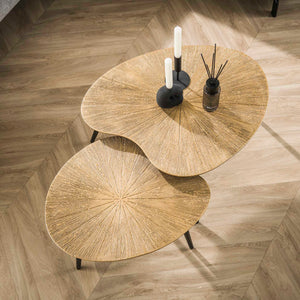 Salontafel Niervorm - Set van 2